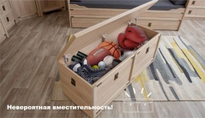 Сундук Валенсия Дуб сонома (Имп) в Урае - uraj.mebel-e96.ru