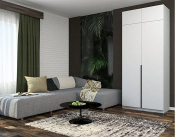 Шкаф распашной 1000 мм М6-2.1 П 100 + антресоль (М6) в Урае - uraj.mebel-e96.ru