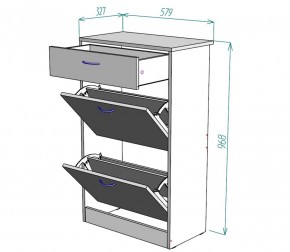 Обувница W21 (ДМ) в Урае - uraj.mebel-e96.ru