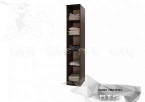 Пенал Фиеста 400 мм (БТС) в Урае - uraj.mebel-e96.ru