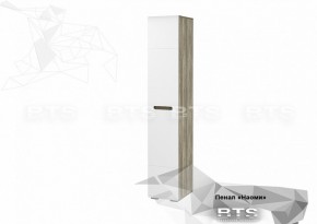 Пенал ПН-14 Наоми (9402*2176*460) в Урае - uraj.mebel-e96.ru | фото