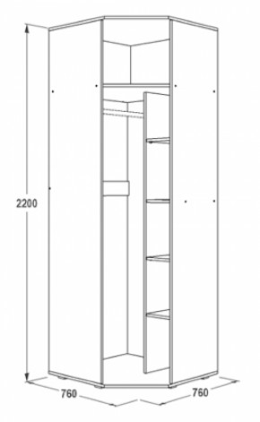 Шкаф 1-но дверный угловой Ольга-14 (760*760) в Урае - uraj.mebel-e96.ru