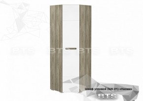 Шкаф угловой ШК-21 Наоми (750*2176*750) в Урае - uraj.mebel-e96.ru | фото