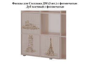 Стеллаж ДМ (ТМК) в Урае - uraj.mebel-e96.ru