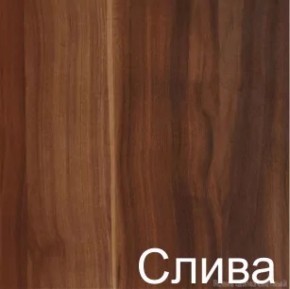 Стол-книжка (1-65) (ГК) в Урае - uraj.mebel-e96.ru